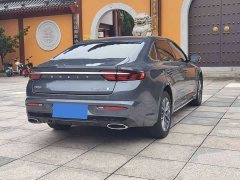 Geely Xingrui 2.0T Diesel Luxury - ფოტო 9