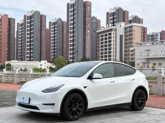 Tesla Model Y Long Range All-Wheel Drive - ფოტო 1