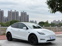 Tesla Model Y Long Range All-Wheel Drive - ფოტო 3