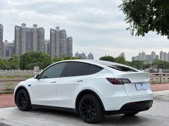 Tesla Model Y Long Range All-Wheel Drive - ფოტო 7