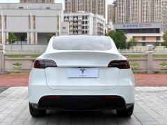 Tesla Model Y Long Range All-Wheel Drive - ფოტო 8
