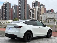 Tesla Model Y Long Range All-Wheel Drive - ფოტო 9