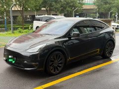 Tesla Model Y 2022 Performance All-Wheel Drive - ფოტო 1