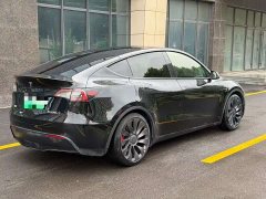 Tesla Model Y 2022 Performance All-Wheel Drive - ფოტო 6
