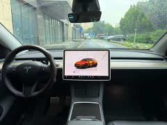 Tesla Model Y 2022 Performance All-Wheel Drive - ფოტო 9