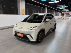 BYD Seagull Glory Edition 305km Freedom Version - ფოტო 1