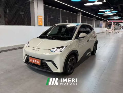 2024 BYD Seagull Glory Edition 305km Freedom Version - ავტომობილი ჩინეთიდან