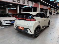 BYD Seagull Glory Edition 305km Freedom Version - ფოტო 7