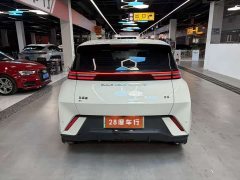 BYD Seagull Glory Edition 305km Freedom Version - ფოტო 8