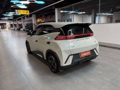 BYD Seagull Glory Edition 305km Freedom Version - ფოტო 9