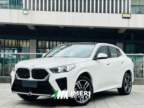 2024 BMW X2 (Imported) sDrive25i M Sport Package - ავტომობილი ჩინეთიდან