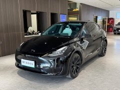 Tesla Model Y Rear-Wheel Drive - ფოტო 1