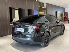 Tesla Model Y Rear-Wheel Drive - ფოტო 10