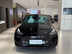Tesla Model Y Rear-Wheel Drive - ფოტო 2