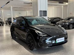 Tesla Model Y Rear-Wheel Drive - ფოტო 3