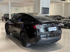 Tesla Model Y Rear-Wheel Drive - ფოტო 9