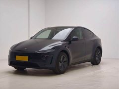 Tesla Model Y Long Range All-Wheel Drive - ფოტო 1