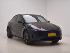 Tesla Model Y Long Range All-Wheel Drive - ფოტო 3