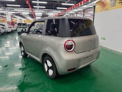Changan Lumin 2023 205km Xiangqin Edition - ფოტო 7