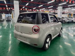 Changan Lumin 2023 205km Xiangqin Edition - ფოტო 8