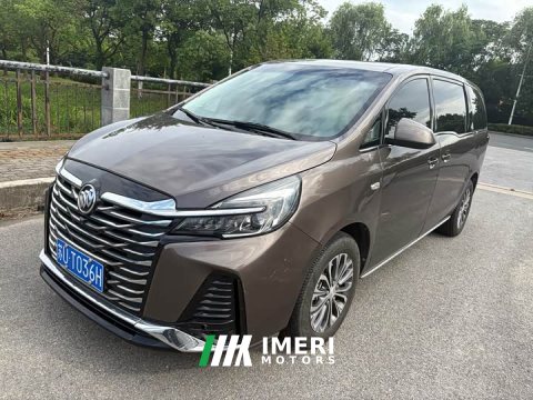 2022 Buick GL8 2023 Land Executive Cabin 652T Luxury - ავტომობილი ჩინეთიდან