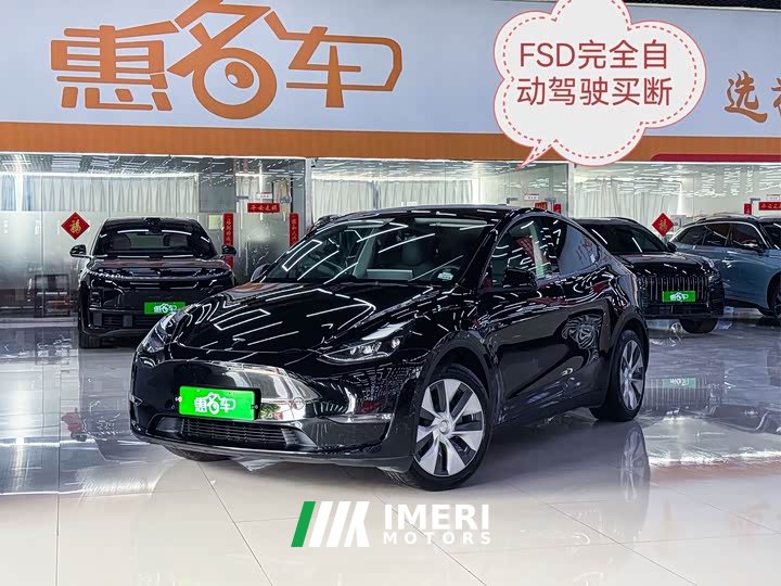 Tesla Model Y 2021 Standard Range RWD - ავტომობილი ჩინეთიდან