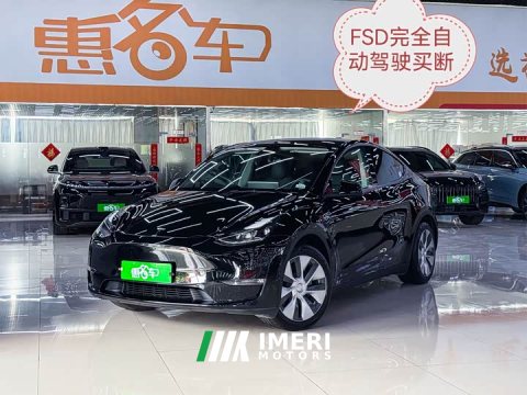 2022 Tesla Model Y 2021 Standard Range RWD - ავტომობილი ჩინეთიდან