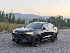 Haval H6S 2.0T Two-Wheel Drive Smart Edition - ფოტო 1