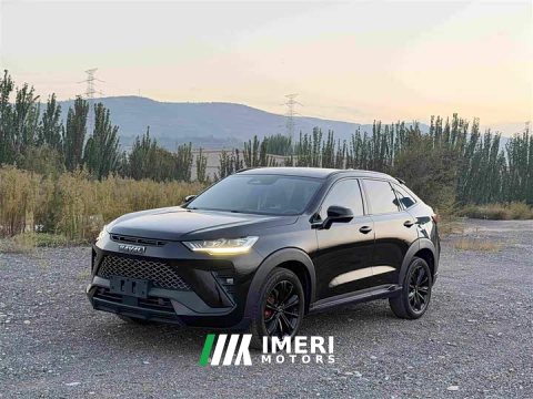 2022 Haval H6S 2.0T Two-Wheel Drive Smart Edition - ავტომობილი ჩინეთიდან