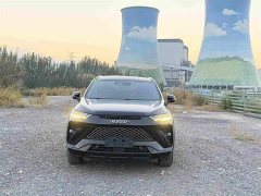 Haval H6S 2.0T Two-Wheel Drive Smart Edition - ფოტო 2