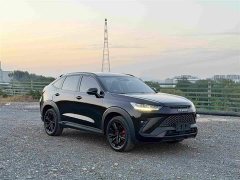 Haval H6S 2.0T Two-Wheel Drive Smart Edition - ფოტო 3
