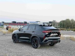 Haval H6S 2.0T Two-Wheel Drive Smart Edition - ფოტო 6