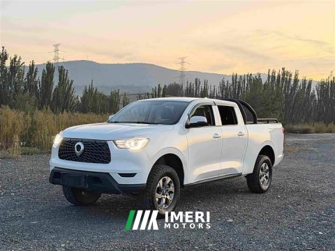 2022 Leapmotor Cannon 2021 2.0T Commercial Auto Diesel 4WD Elite Long Bed GW4D20M - ავტომობილი ჩინეთიდან