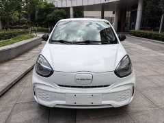 SAIC Corey Wei CLEVER 302km Excellence Edition - ფოტო 1