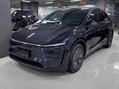 Tesla Model Y L 2025 Long Range All-Wheel Drive - ფოტო 1
