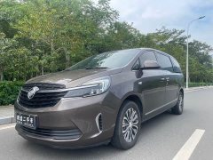 Buick GL8 Land Executive Cabin 652T Luxury - ფოტო 1