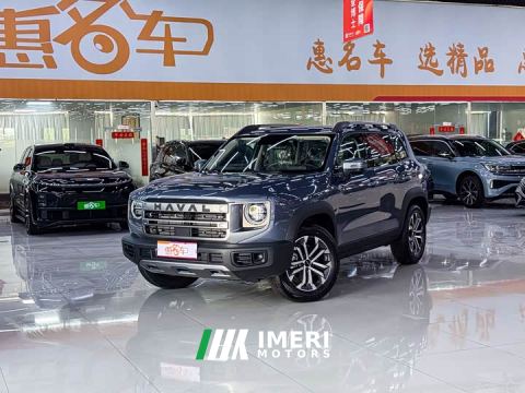 2024 Great Wall Dachshund 1.5T DCT Labrador Edition - автомобиль из Китая