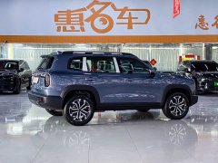 Great Wall Dachshund 1.5T DCT Labrador Edition - ფოტო 10
