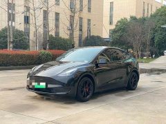 Tesla Model Y 2023 Rear-Wheel Drive - ფოტო 1