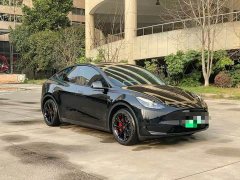 Tesla Model Y 2023 Rear-Wheel Drive - ფოტო 3