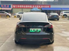 Tesla Model Y 2023 Rear-Wheel Drive - ფოტო 8