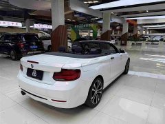 BMW 2 Series (Imported) 2019 225i Convertible Sports Design Package - ფოტო 7