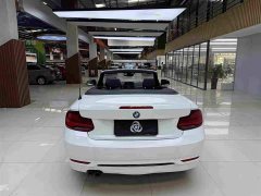 BMW 2 Series (Imported) 2019 225i Convertible Sports Design Package - ფოტო 8