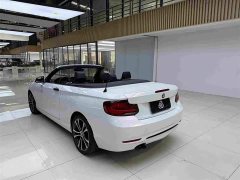 BMW 2 Series (Imported) 2019 225i Convertible Sports Design Package - ფოტო 9