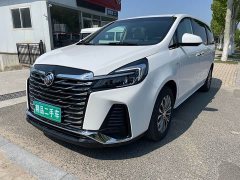 Buick GL8 Land Executive Cabin 652T Luxury - ფოტო 1