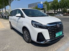 Buick GL8 Land Executive Cabin 652T Luxury - ფოტო 3
