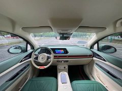 ORA Good Cat 401km Standard Range Luxury LFP - ფოტო 10