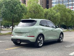 ORA Good Cat 401km Standard Range Luxury LFP - ფოტო 5