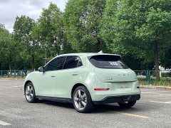 ORA Good Cat 401km Standard Range Luxury LFP - ფოტო 6