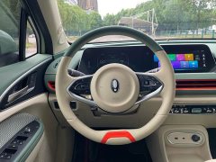 ORA Good Cat 401km Standard Range Luxury LFP - ფოტო 8